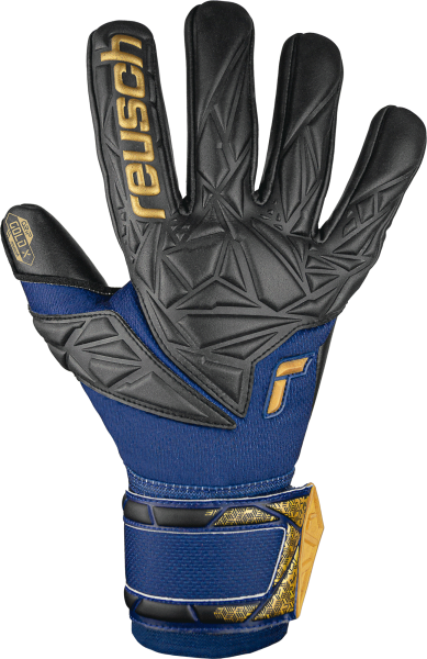 Reusch Attrakt Gold X NC 5470955 4411 blue orange front